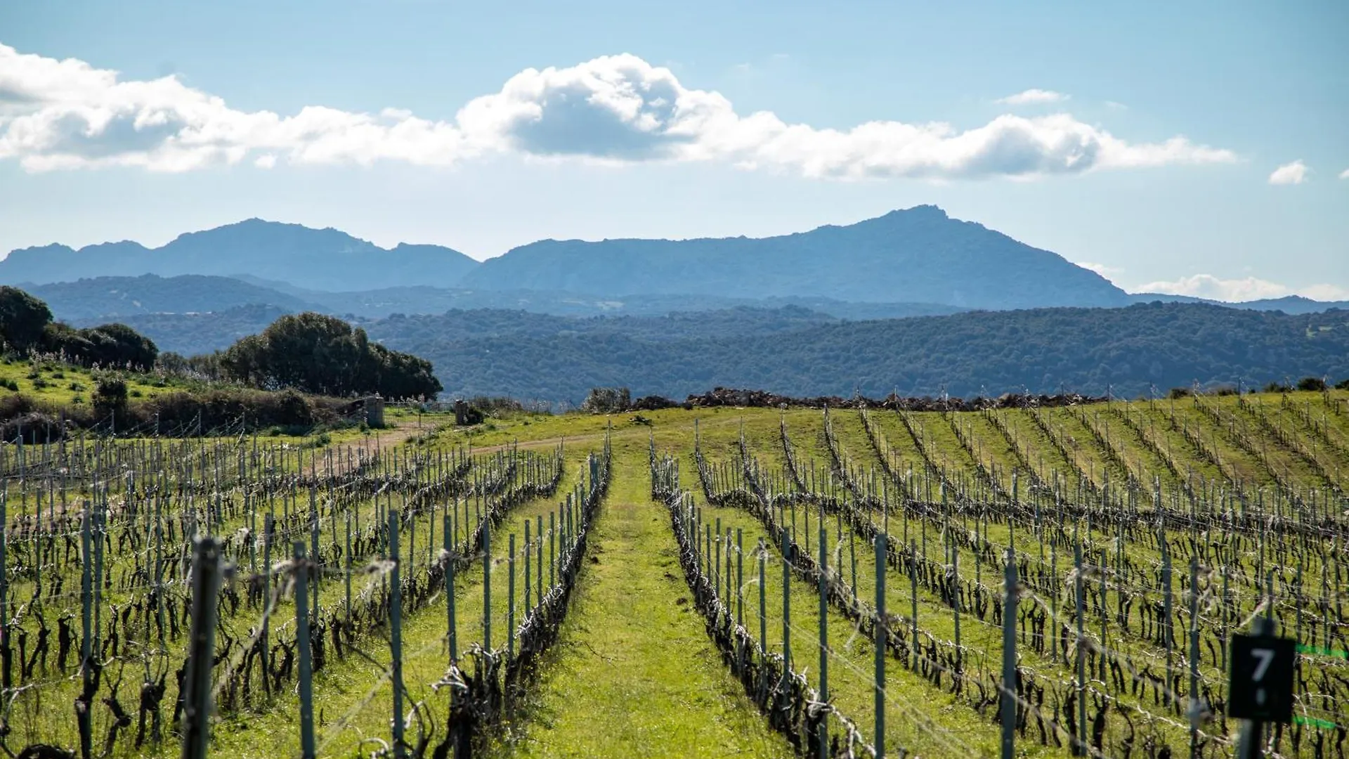 ルオゴサント Cantina&Agriturismo Canuヴィラ ファームステイ